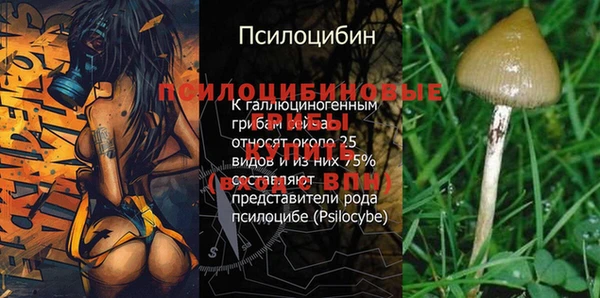 ALPHA PVP Баксан